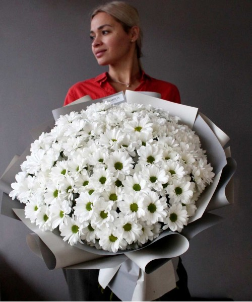Большой букет ромашковых белых хризантем - купить цветы для мамы с  бесплатной доставкой по Иркутску | Фото, цены и отзывы