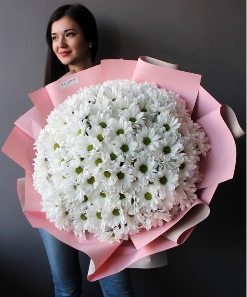 Букет из 25 ромашковых кустовых хризантем - купить с доставкой по Иркутску  | Фото, цены и отзывы