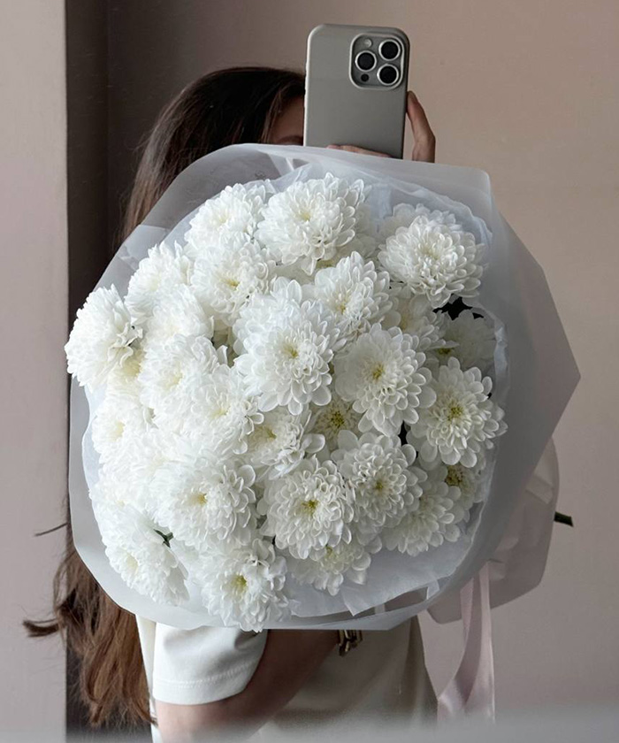 7 белых кустовых хризантем Алтай №4366