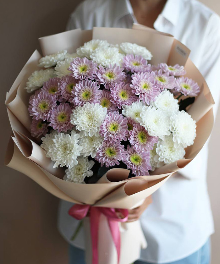 9 розовых кустовых хризантем Оптимист и белых Алтай №2208