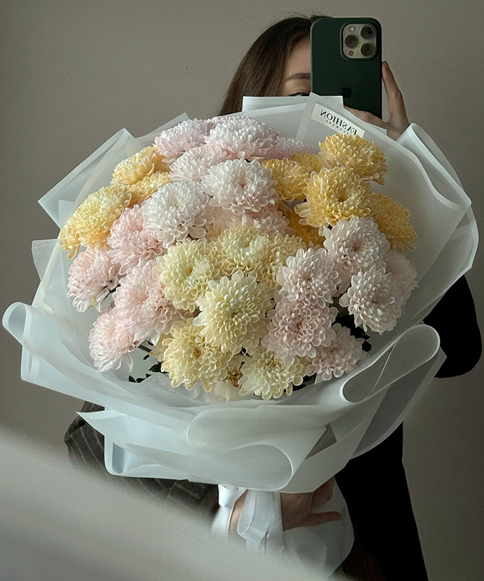 7 кустовых крашенных хризантем Алтай 