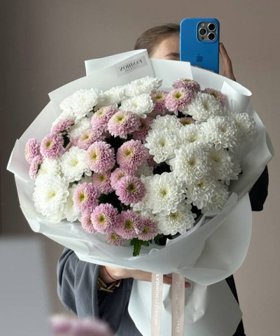 9 розово-белых кустовых хризантем Алтай и Летсгоу пинк №3458