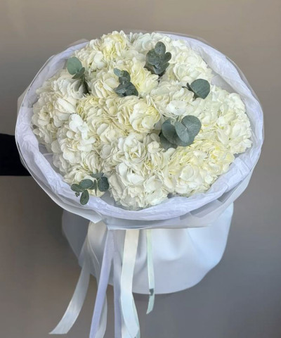 15 белых гортензий Колумбия с эвкалиптом №3057