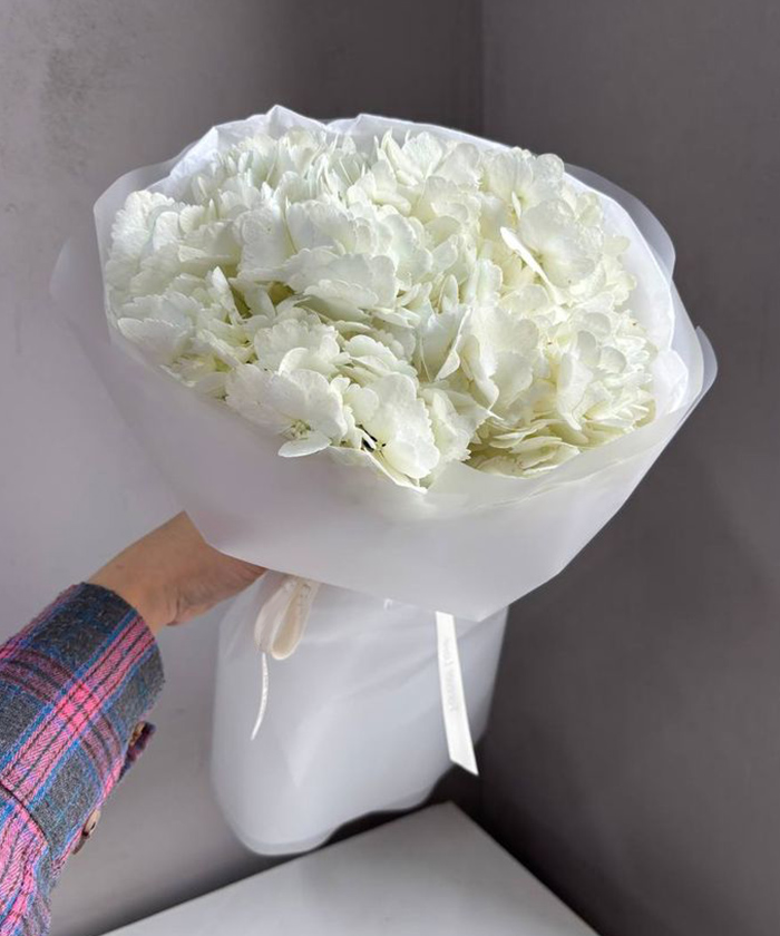 5 белых гортензий Колумбия №2109