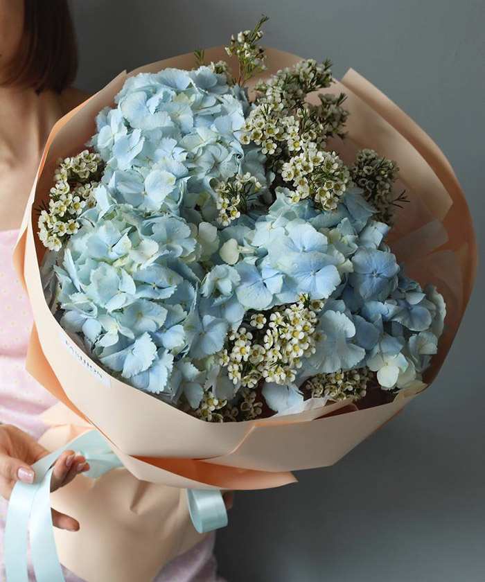 Голубая гортензия Верена и белый хамелациум в букете 