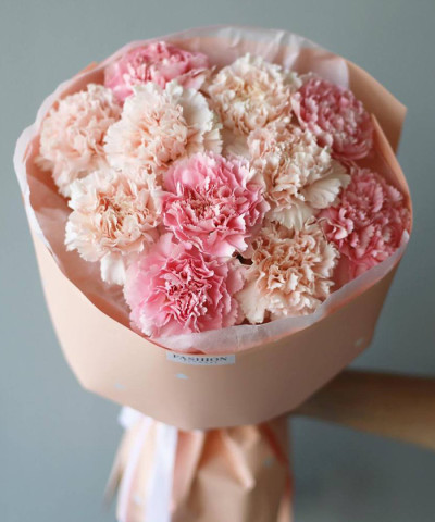 11 пудровых и розовых диантусов №2456