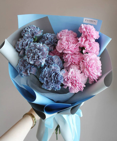 15 голубых и розовых диантусов Тинтед Молли №4588