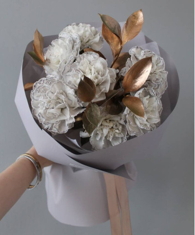 7 серых диантусов Блэк Молли №6741