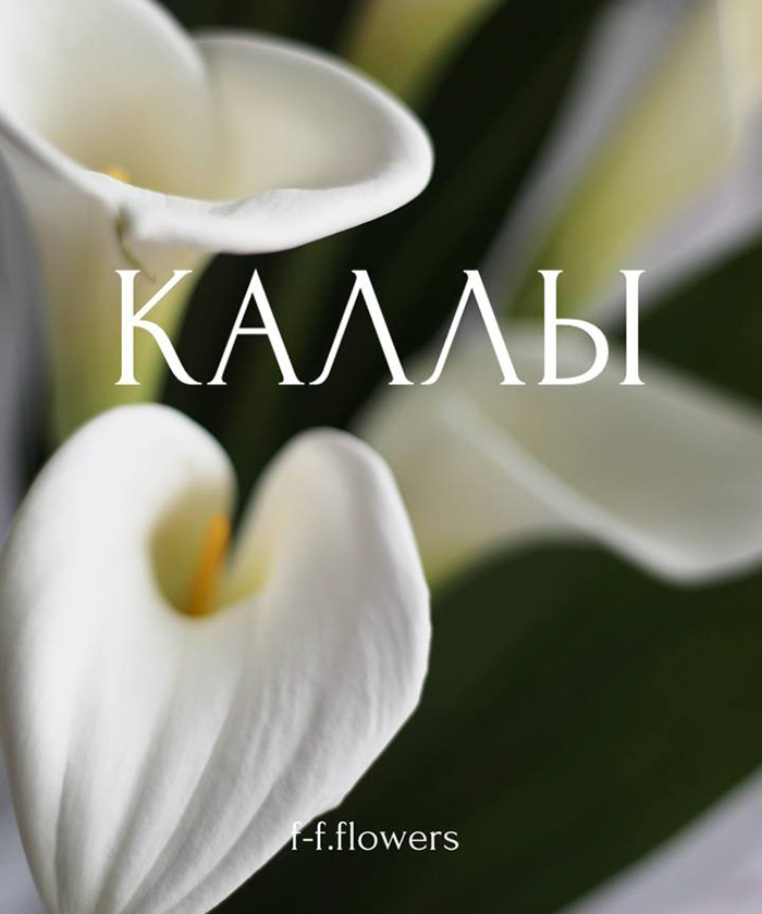 Каллы белые 7шт. 
