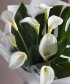 Каллы белые 9шт. 