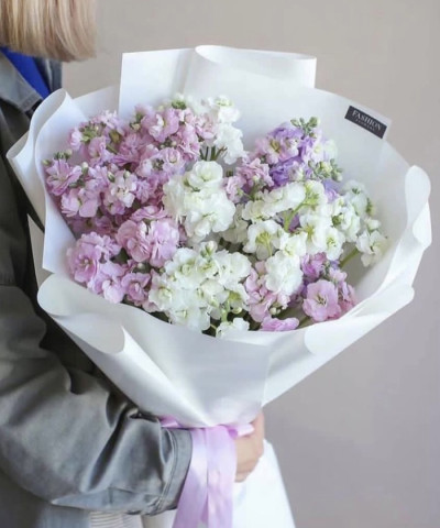 11 веток нежной кустовой маттиолы №2873