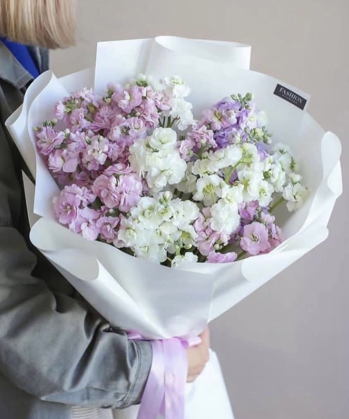 11 веток нежной кустовой маттиолы №2873