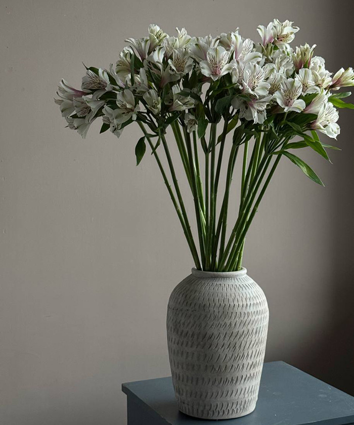 Альстромерия белая и кремовая, в ассортименте, поштучно