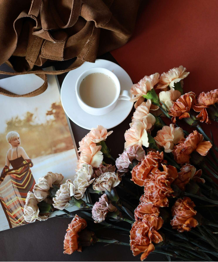 Диантусы крашеные, в коричневых оттенках, поштучно