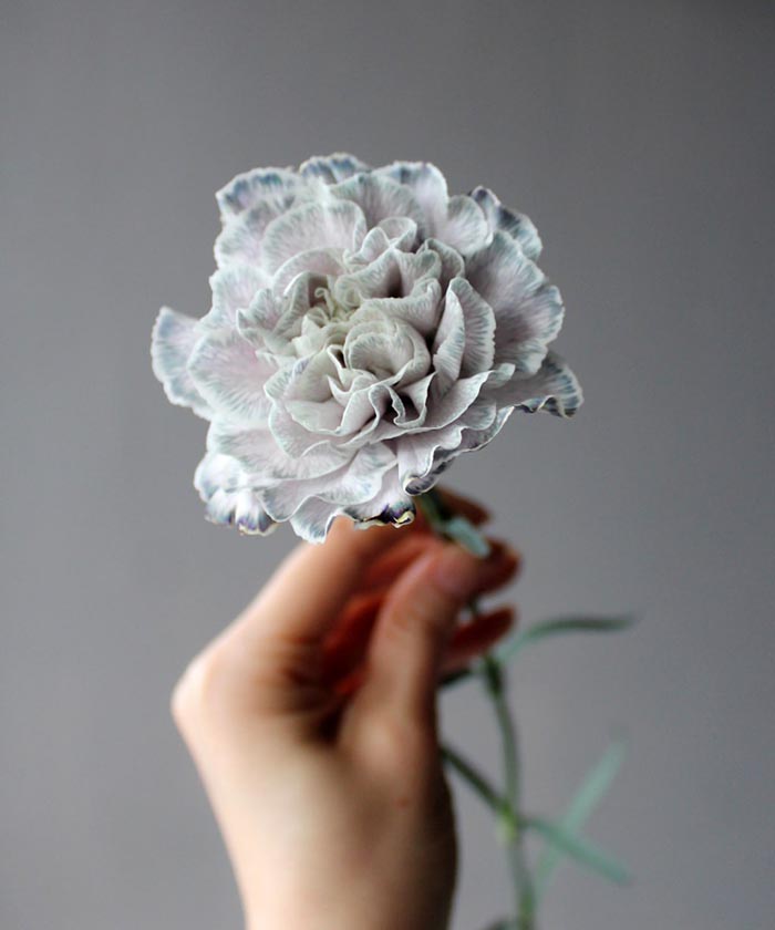 Диантусы крашеные, серые оттенки, поштучно