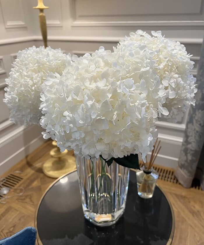 Гортензия стабилизированная белая, поштучно №2949