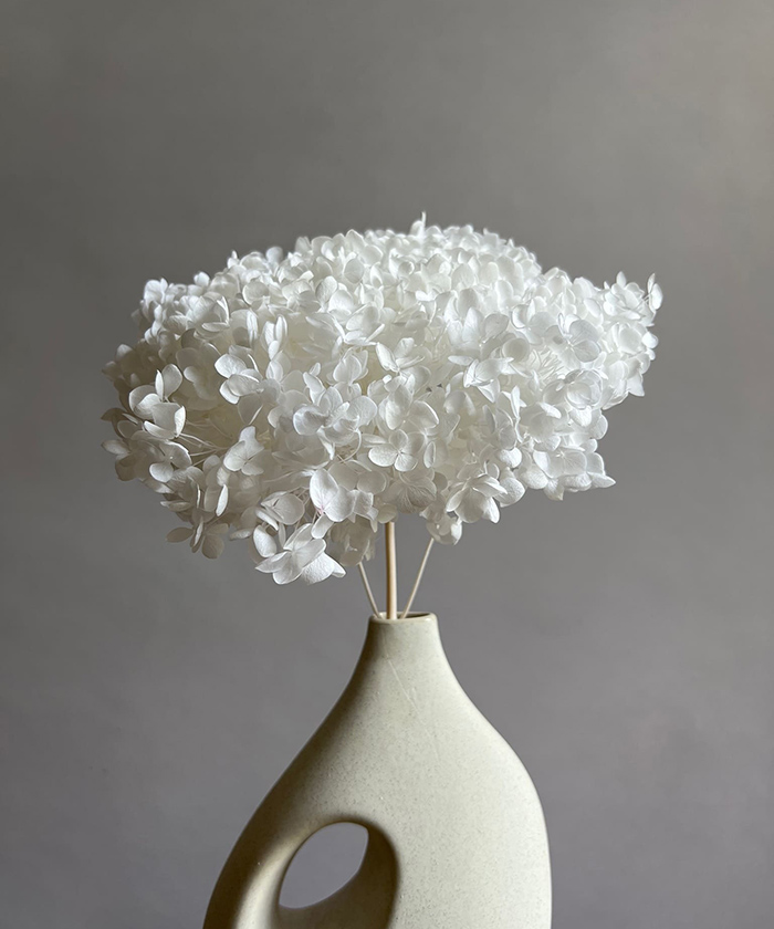 Гортензия стабилизированная белая, поштучно №2949