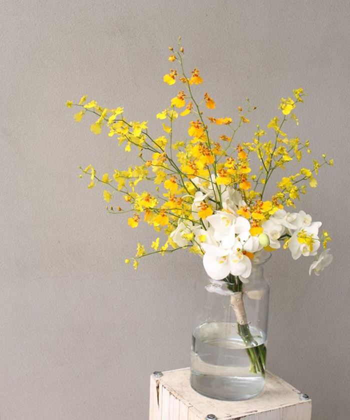 Онцидиум орхидея, поштучно