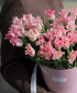 Тюльпаны розовые Краун Династи, поцелуйчики, поштучно
