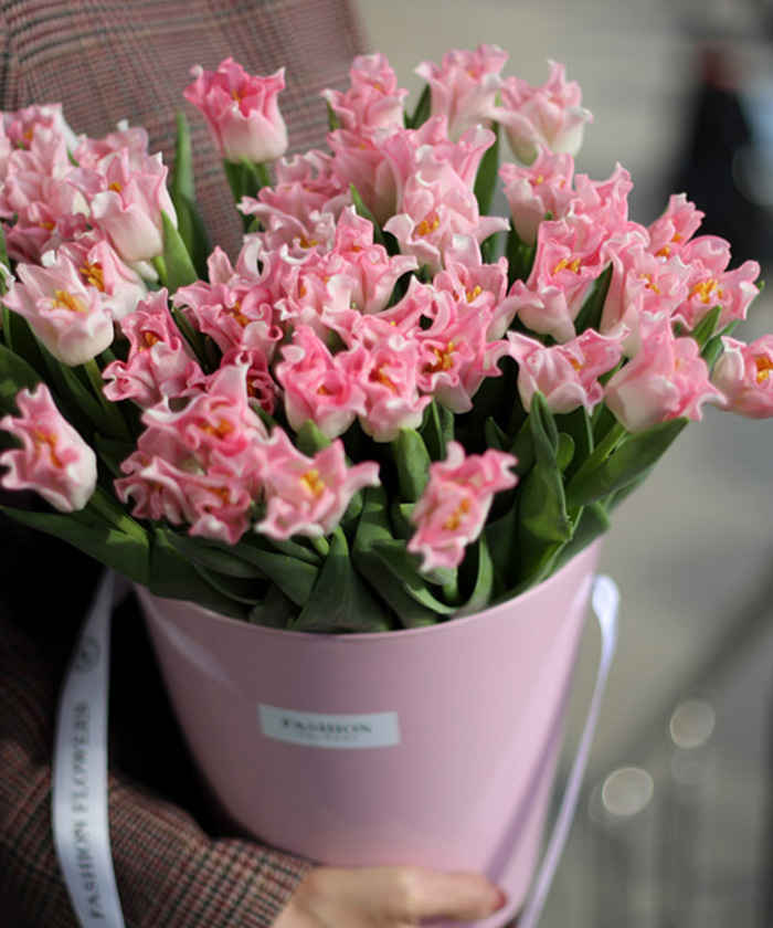 Тюльпаны розовые Краун Династи, поцелуйчики, поштучно