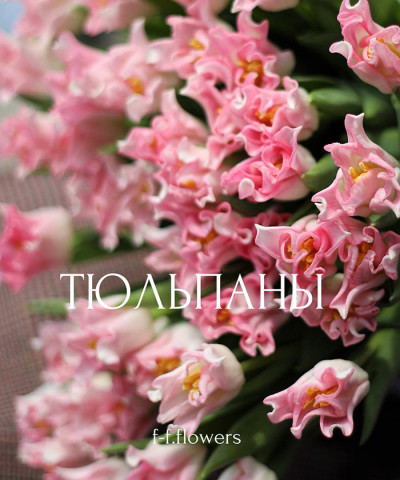 Тюльпаны розовые Краун Династи, поцелуйчики, поштучно