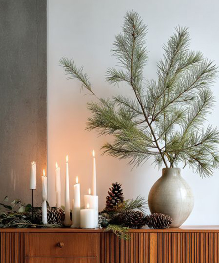 Ветки сосны Pinus, поштучно