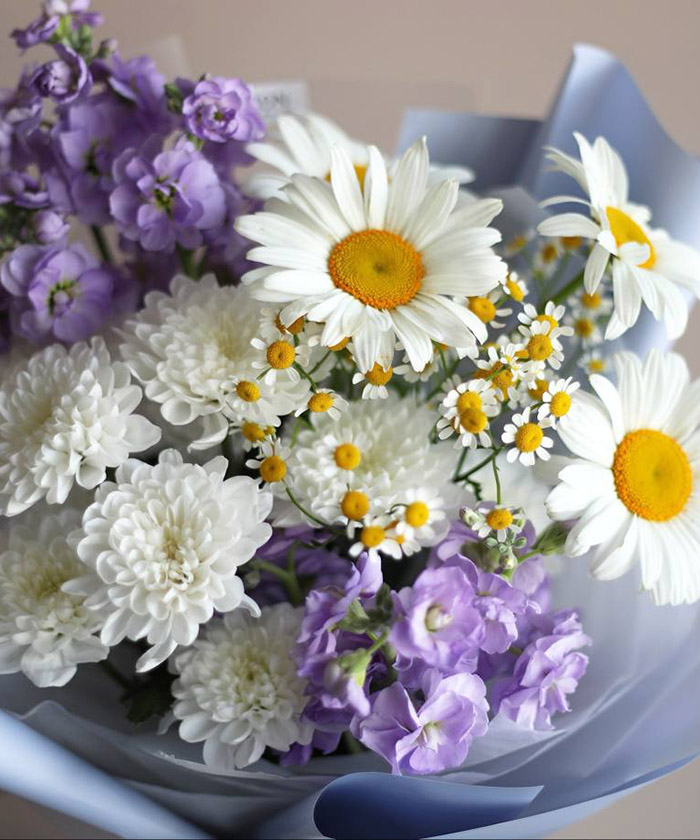 Лавандовая маттиола и ромашки в букете №8732