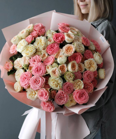 25 пионовидных розово-кремовых кустовых роз Музетт и Джентл №3010