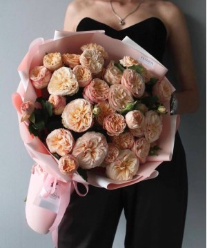 Роскошные кустовые розы Джентл Трендсеттер №3577