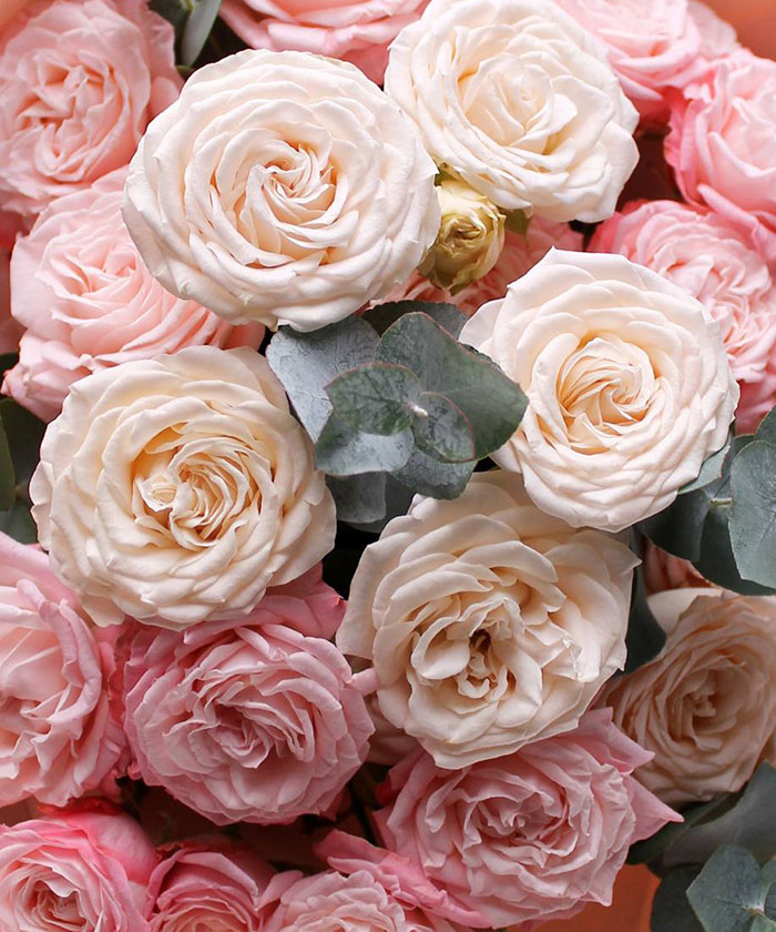 5 кустовых роз с эвкалиптом №9467