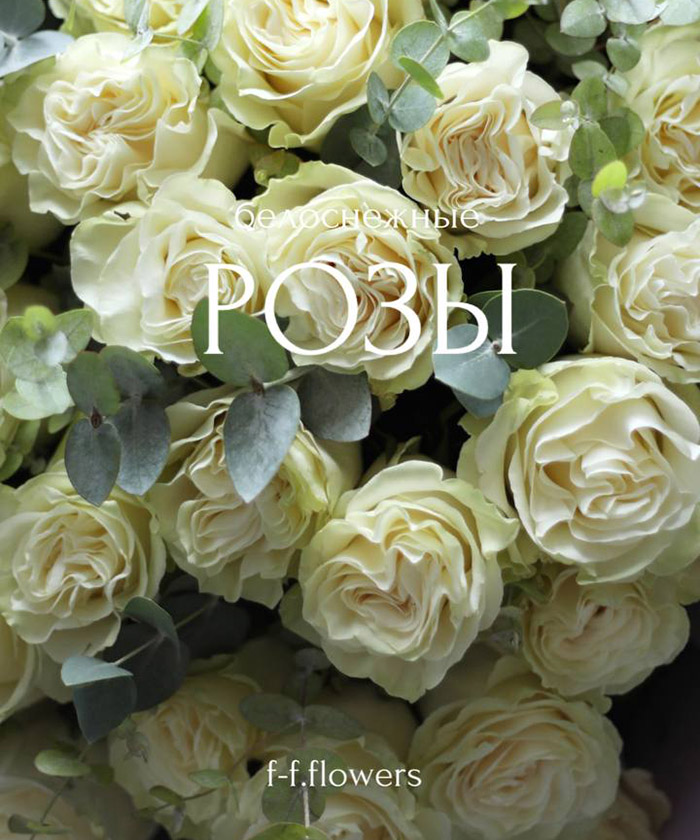 39 белых роз Мондиаль с эвкалиптом №5669