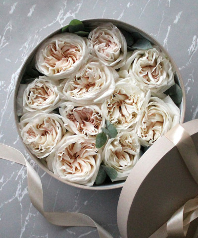 "Розы из английского сада" пионовидные розы Охара №3452