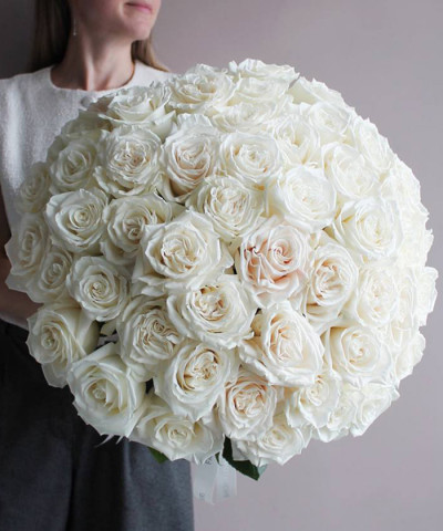 55 белых пионовидных роз Плая Бланка №6625