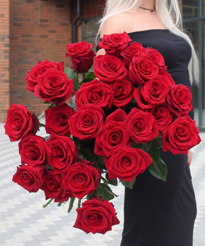 Роза красная Эксплорер/Фридом, поштучно