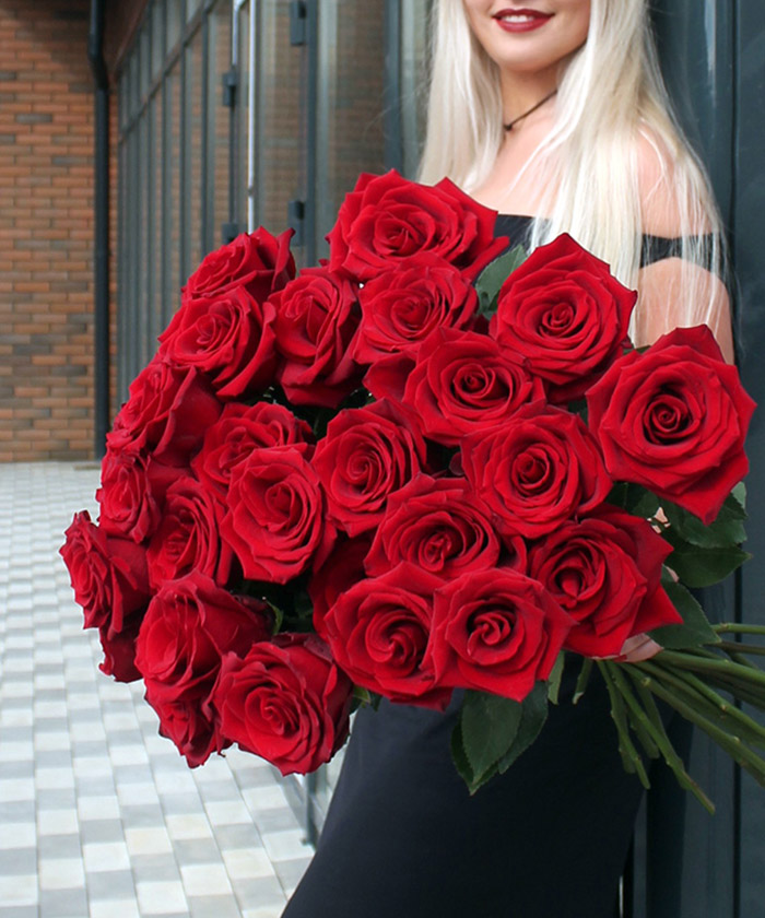 Роза красная Эксплорер/Фридом, поштучно