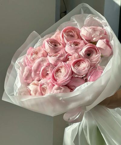 25 розовых ранункулюсов Леди в белой фирменной упаковке №5660