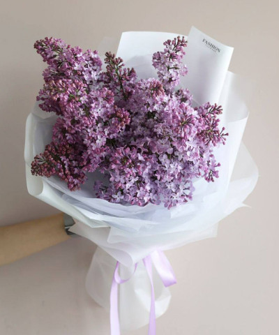 Лавандовая Сирень "Дарк Костер" №3073