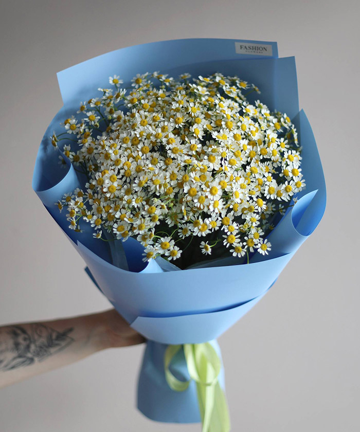 Ромашки танацетум 13шт. №4221