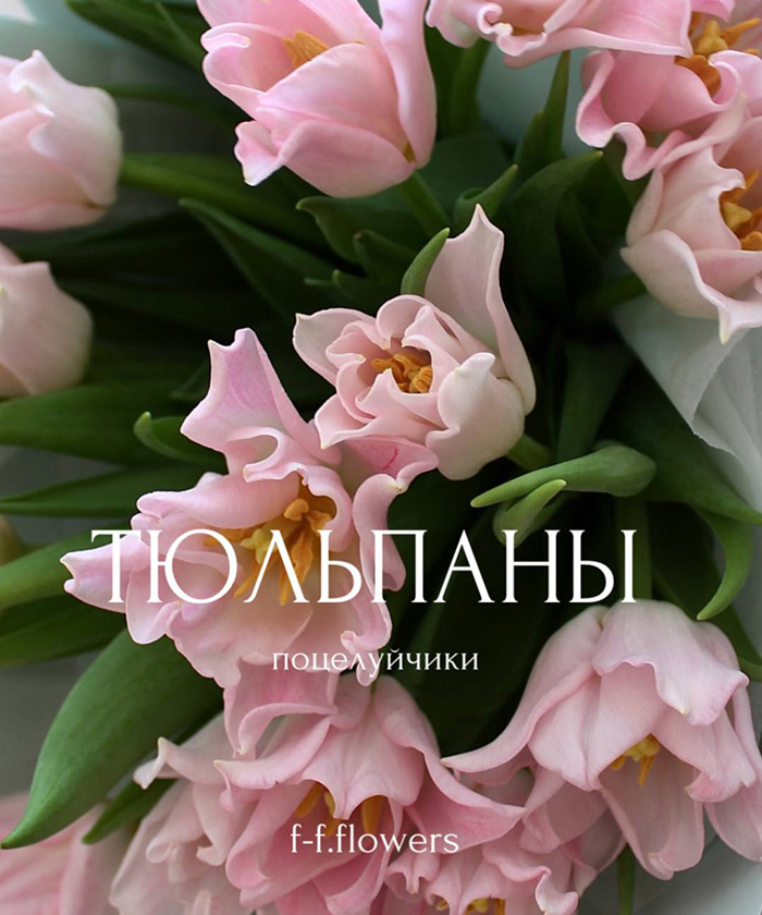 Тюльпаны розовые Краун Династи, поцелуйчики, поштучно