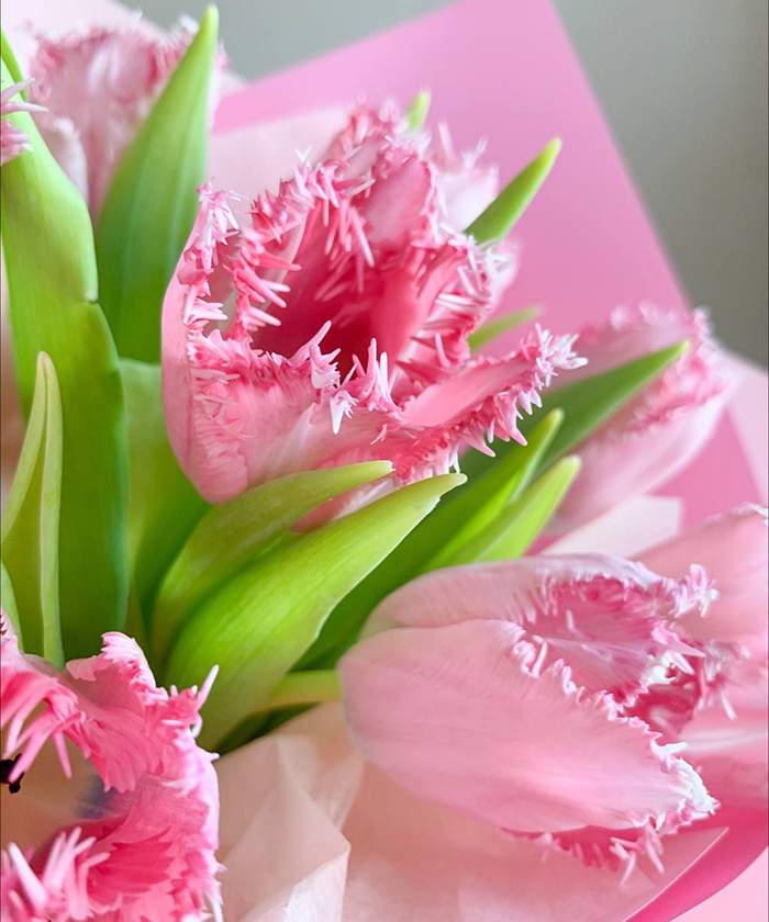 9 розовых бахромчатых тюльпанов в букете 
