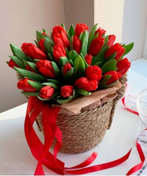 "Мадрид" 35 красных тюльпанов в корзине №3283