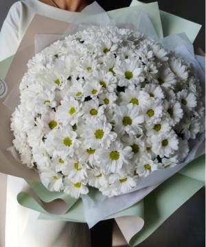 31 белоснежная хризантема №3071 фото 1  от интернет-магазина FASHION FLOWERS