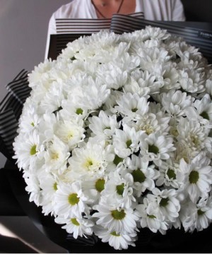 25 белых хризантем №3022 фото 1  от интернет-магазина FASHION FLOWERS