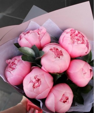 7 розовых пионов Этчед Салмон №3025 фото 1  от интернет-магазина FASHION FLOWERS