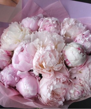 15 розовых пионов №3023 фото 1  от интернет-магазина FASHION FLOWERS