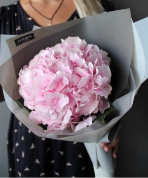 Нежно-розовая гортензия 1 шт. №3064 фото 1  от интернет-магазина FASHION FLOWERS