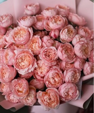 15 розовых кустовых роз Джульетта №3158 фото 1  от интернет-магазина FASHION FLOWERS
