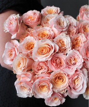 Роза "Шиммер" поштучно №2906 фото 1  от интернет-магазина FASHION FLOWERS