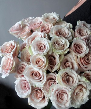 Роза "Квикcенд" поштучно №2912 фото 2  от интернет-магазина FASHION FLOWERS