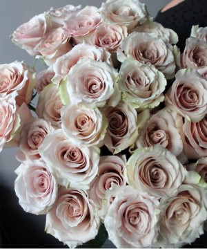 Роза "Квикcенд" поштучно №2912 фото 1  от интернет-магазина FASHION FLOWERS